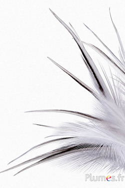 Reiher - 13-16 cm - naturweiss-creme-grau